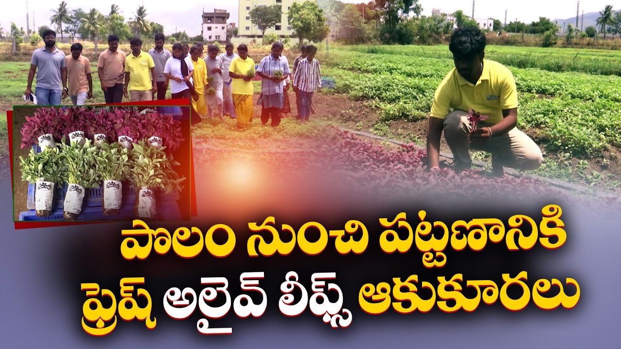 Alive Leafs | Startup with AI Technology for Vegetable Leaves | Founder Uday Kumar Chit Chat || Yuva