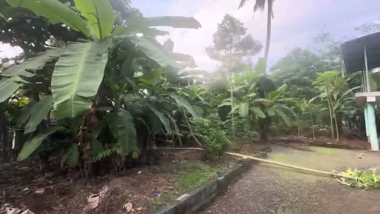 74 Cent Busroute frontage Land for Sale in Ernakulam | 4.25 Lakh's/Cent Negotiable| Very Urgent Sale