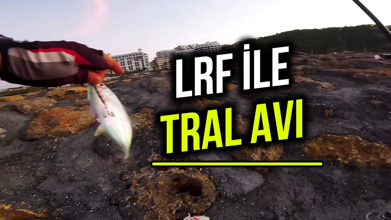 Konaklı İskelede LRF ile Tral ve Kuzu Avı - Alanya Balık Avı | VARSA ALIRIZZZ!!