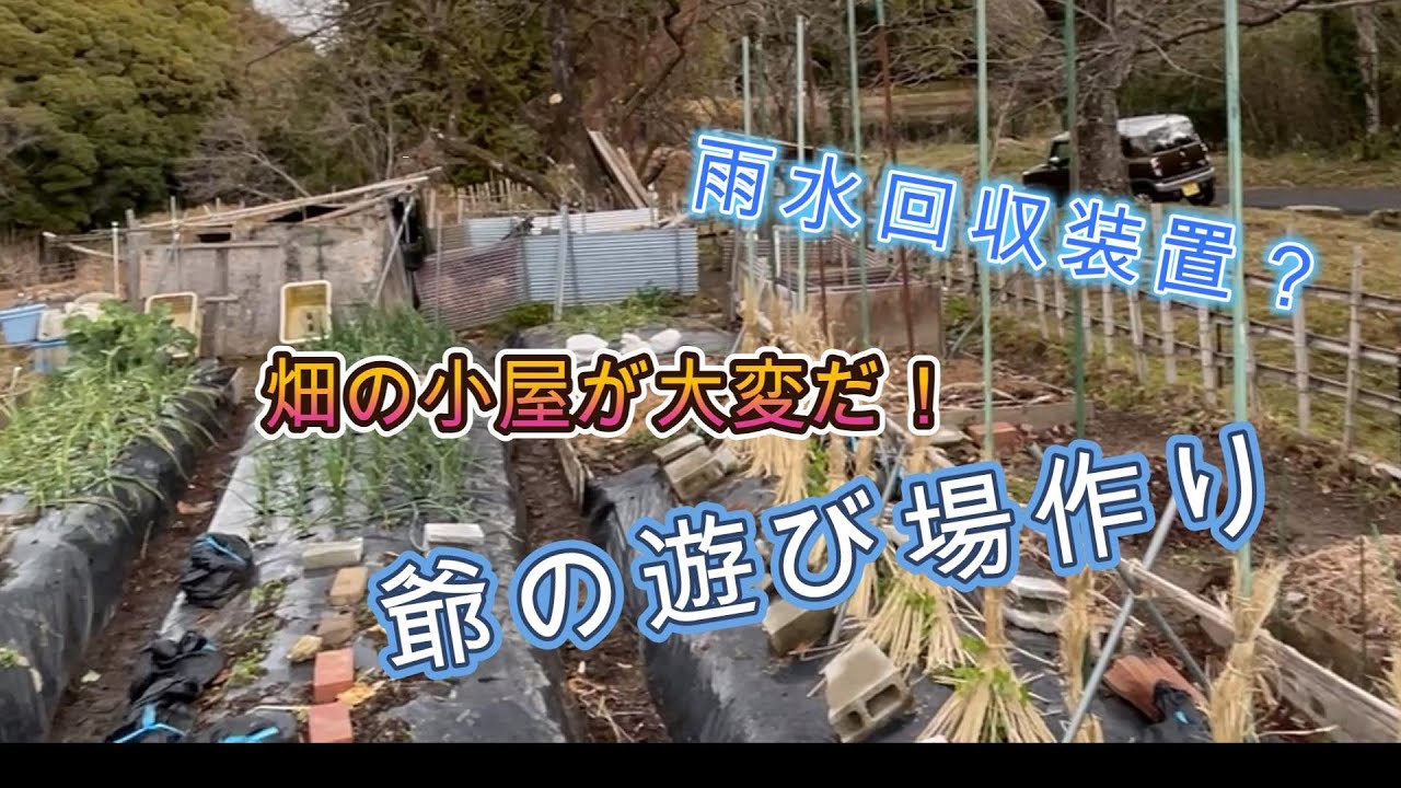 菌ちゃん農法の畑・・爺の隠れ家を作る