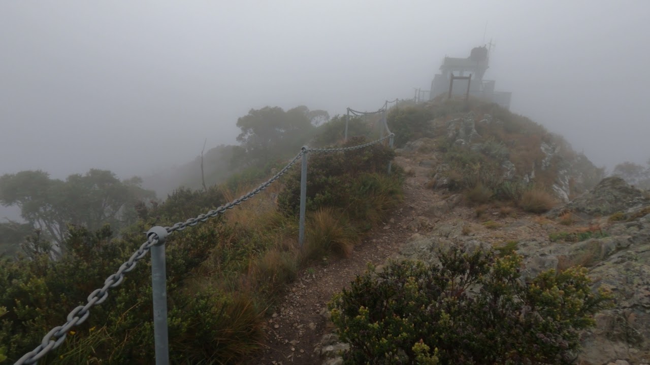 Real 4x4 Adventures - the walking trail to The Pinnacles Lookout on a foggy day at Vic high country