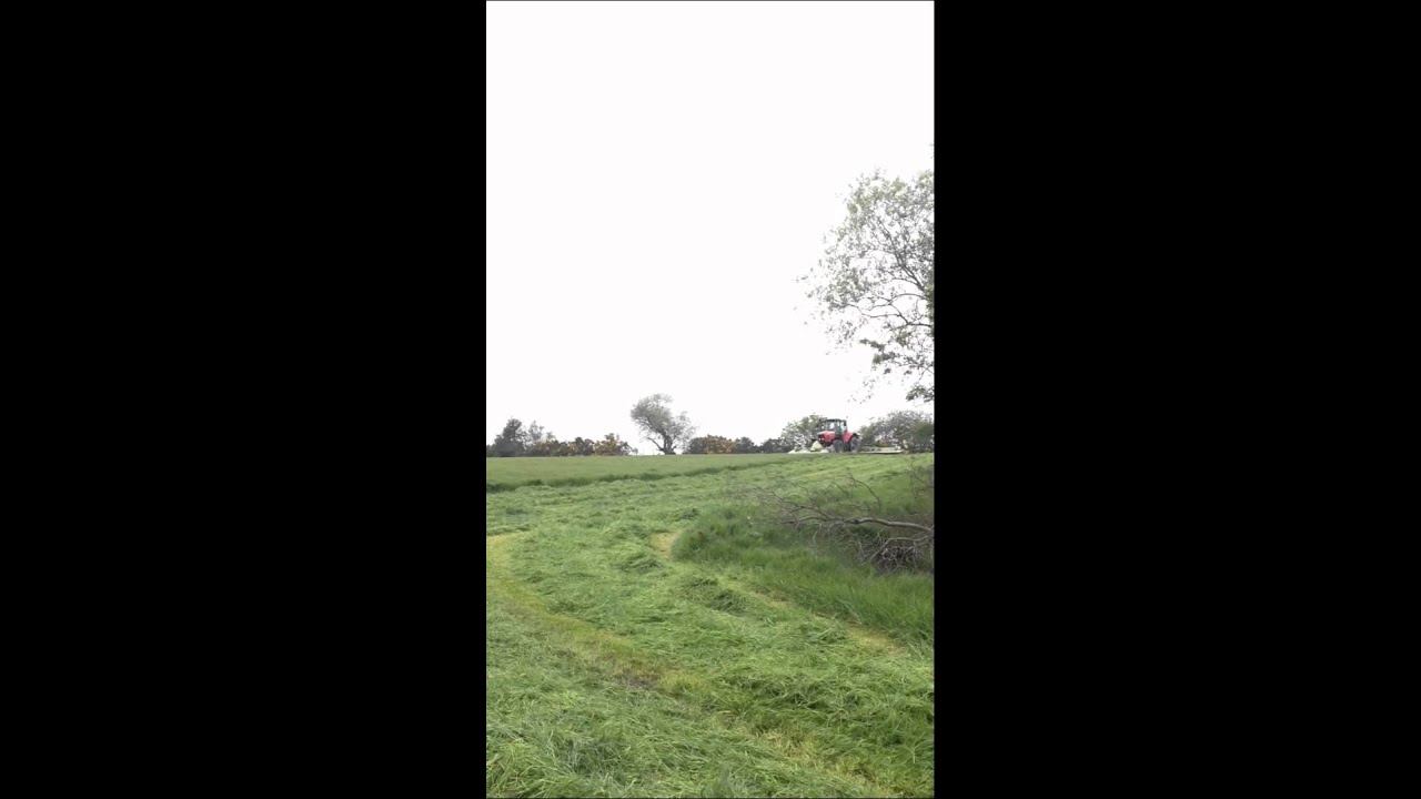 Killen Bros 6499 x2, 8480 mowing 70ft at a time in one go