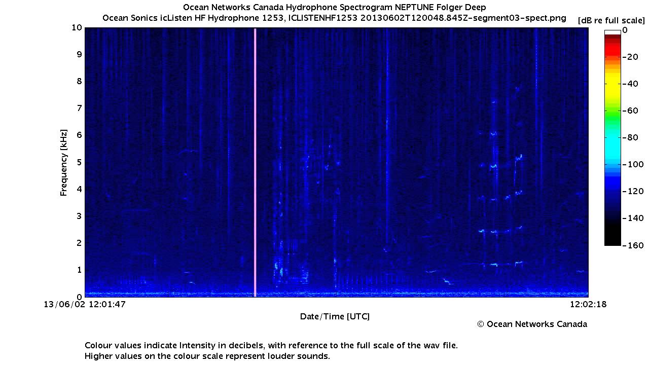 Southern Resident Killer Whale L-Pod Calls in Folger Passage (Part 2)