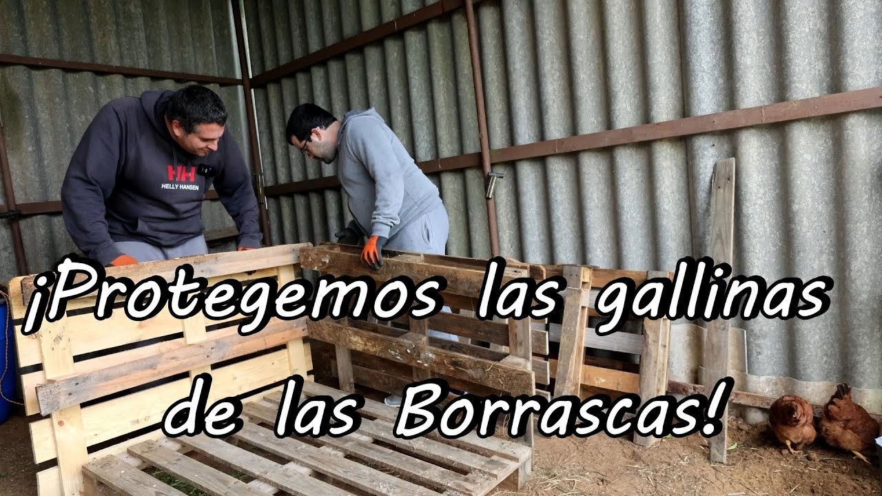 Borrasca tras borrasca! Hacemos el GALLINERO de PALLETS! #110