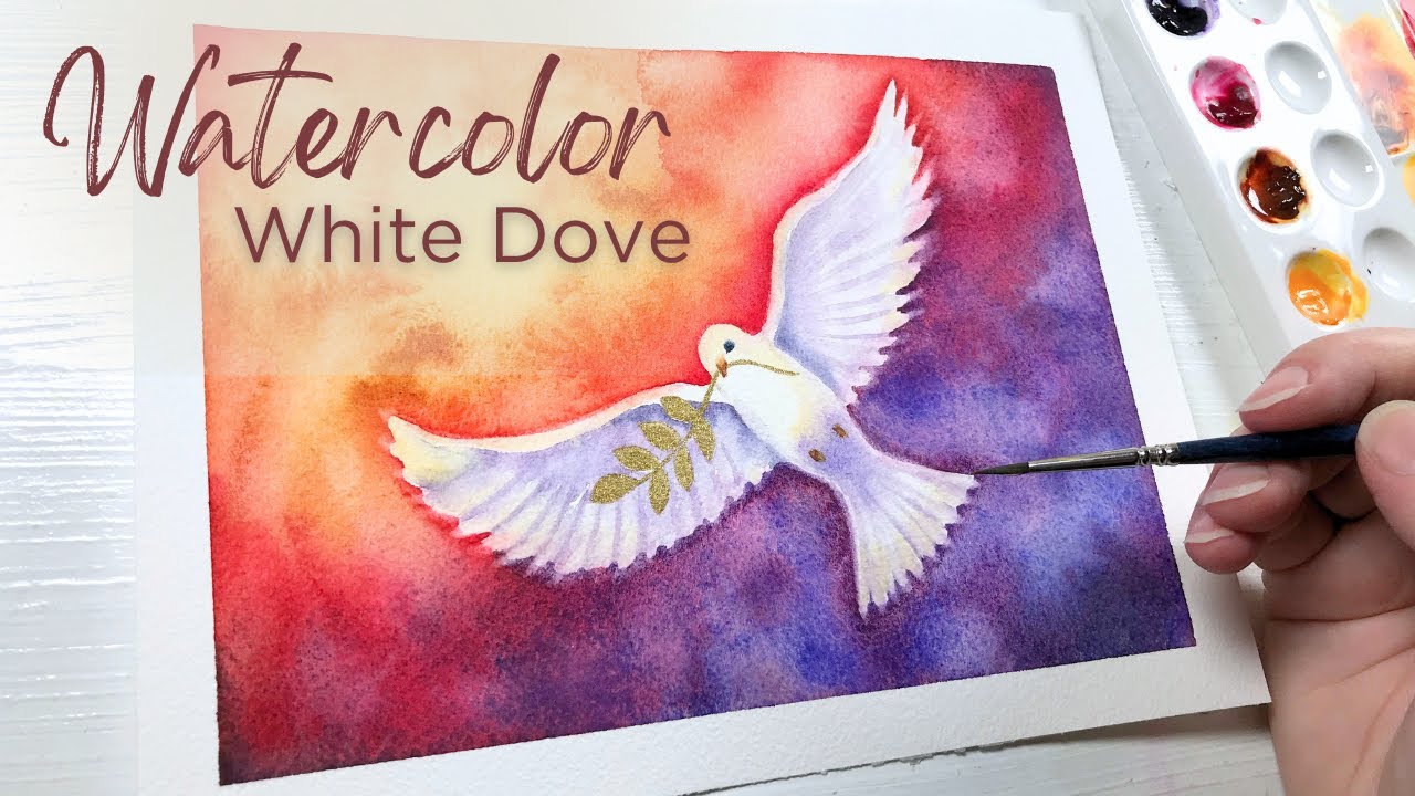 Watercolor Dove with Wet on Wet Background - Painting a White Bird