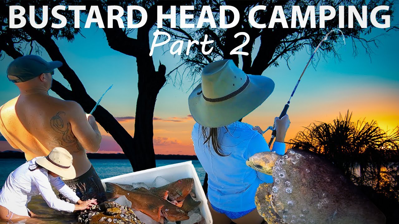 BUSTARD HEAD CAMPING | Pt 2 | Fishing, diving, oysters & the best fish dish I've ever eaten