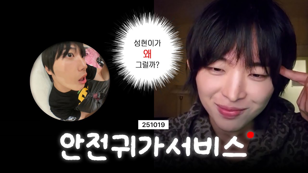 [드래곤포니] 집 들어갈 때 보기 좋은 영상🐥🐈‍⬛