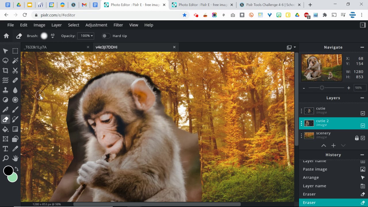 Pixlr E: Making clean cuts around an image