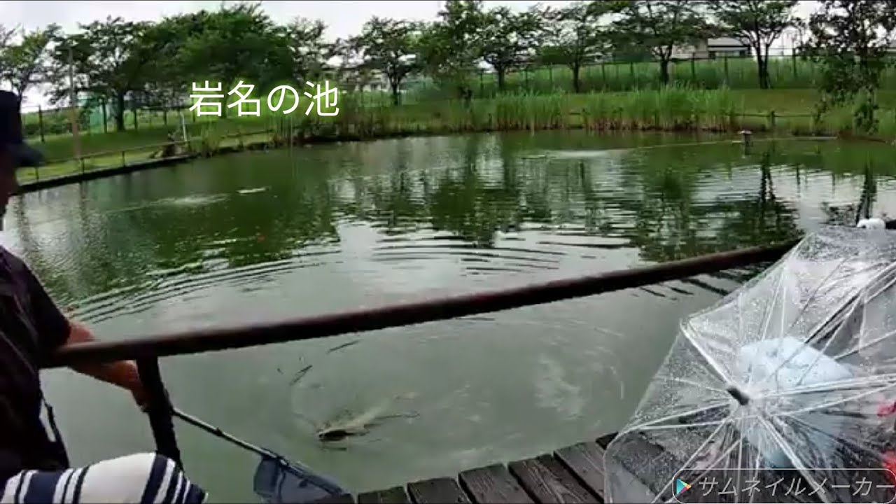 【589EX日本一のエサ使ってみた】　てんてい　釣れました！😁