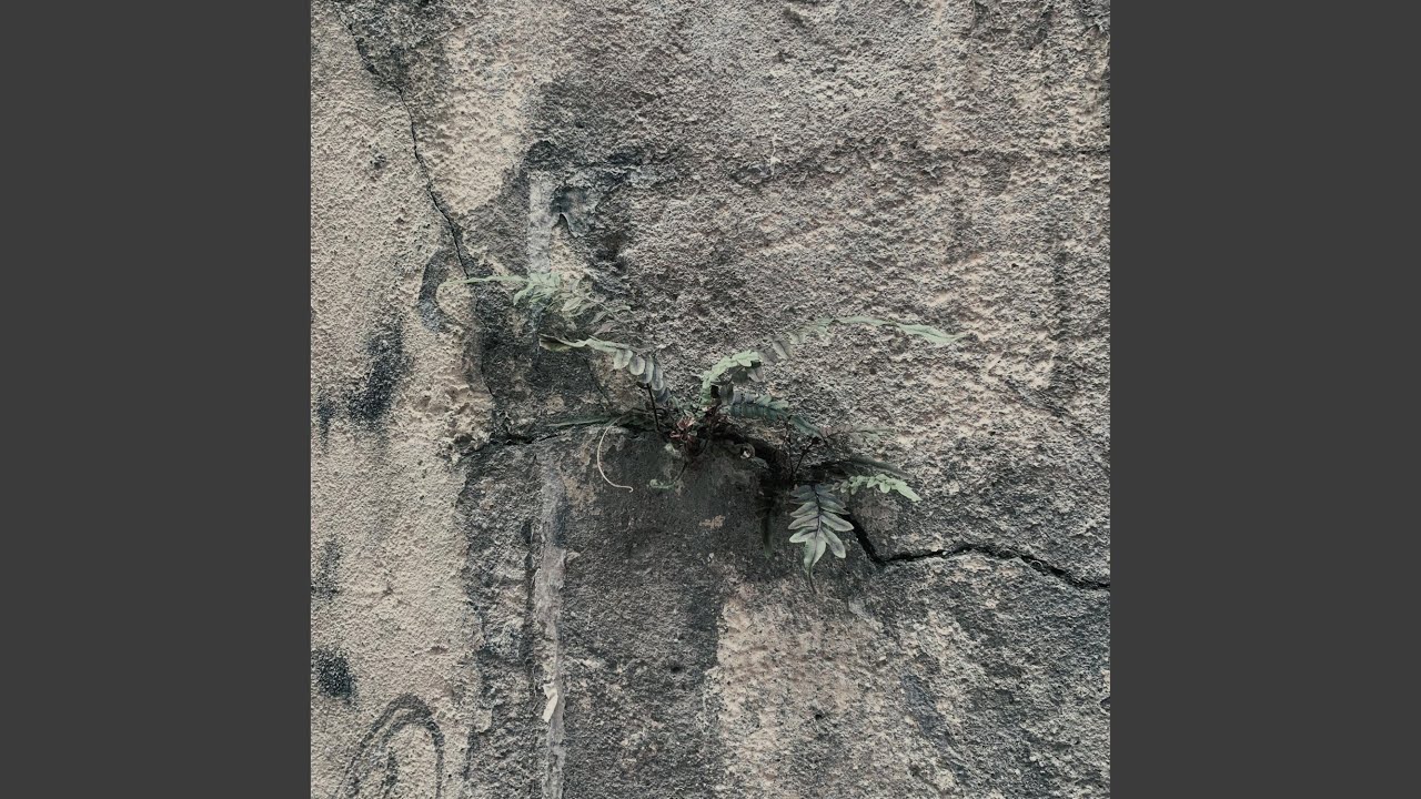 答案