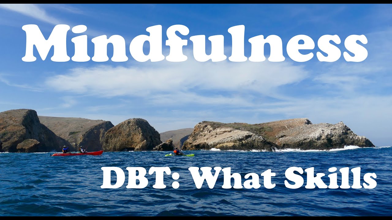 Mindfulness: DBT Therapy What Skills