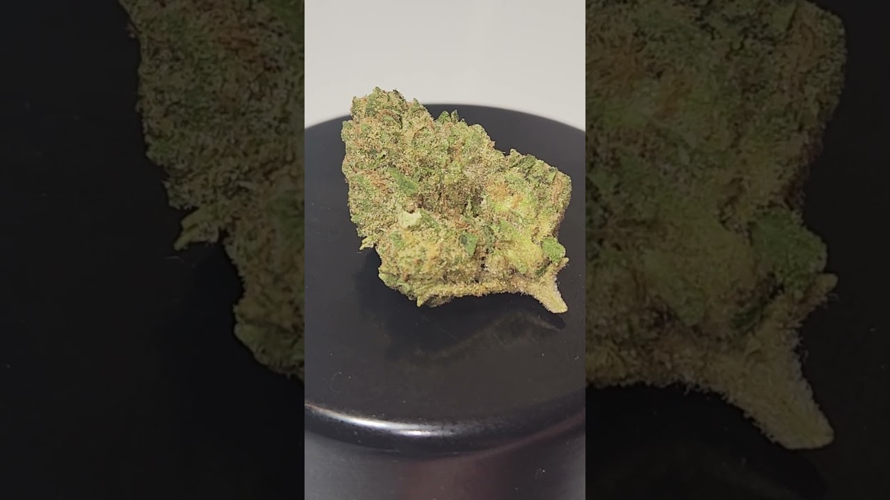 J Litty's Banana Jelly Strain Close-Up