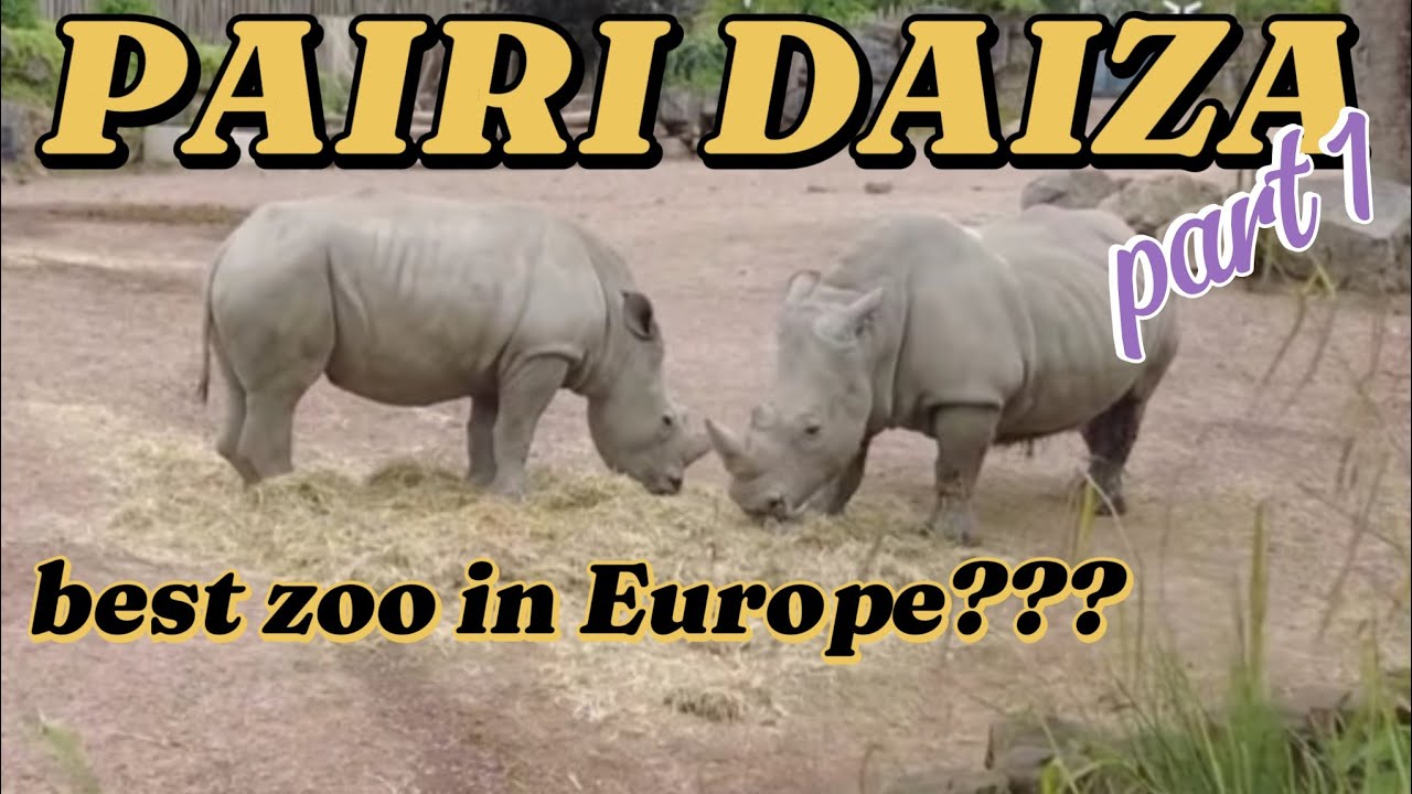 🇧🇪 PAIRI DAIZA ZOO - WALKING TOUR | 4K UHD | part 1