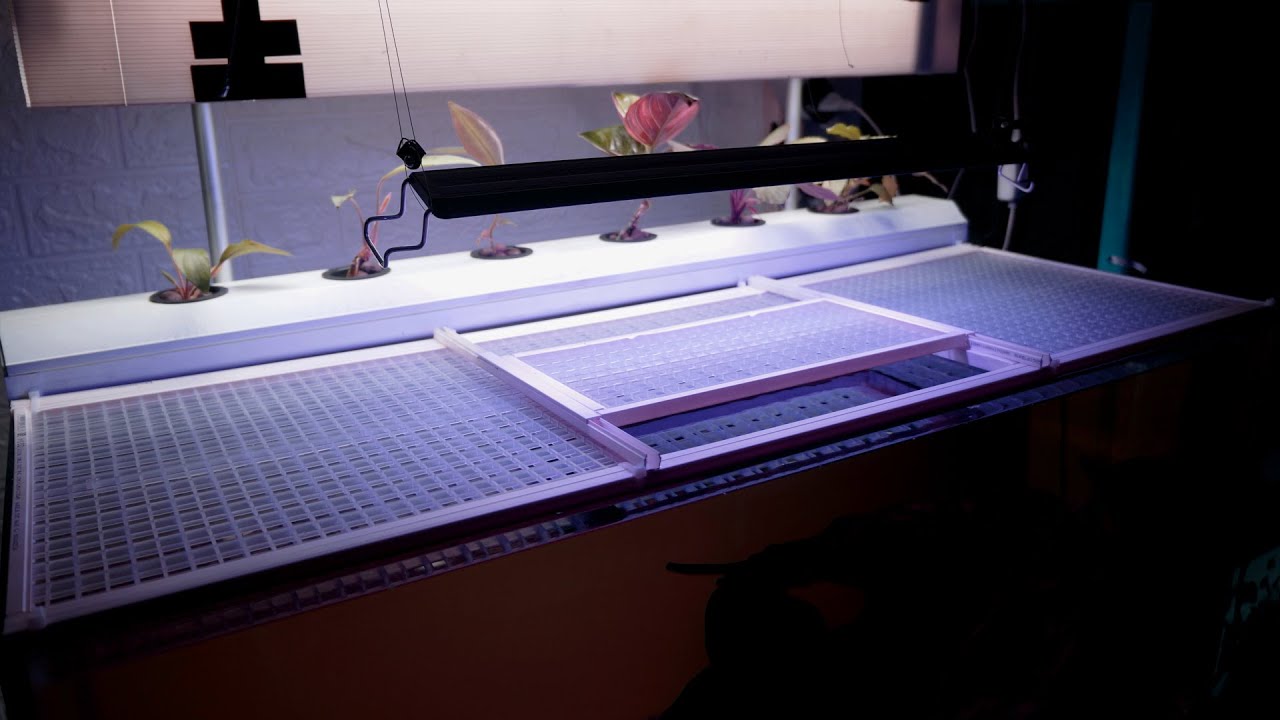 How To Make DIY Aquarium Top Cover