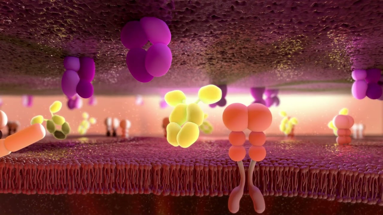 LAVA Therapeutics' Gamma-Delta T Cell Engager Platform