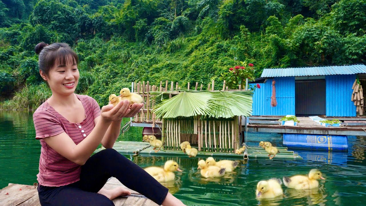 Living on a lake: The girl building a Cozy Coop for newly hatched ducklings
