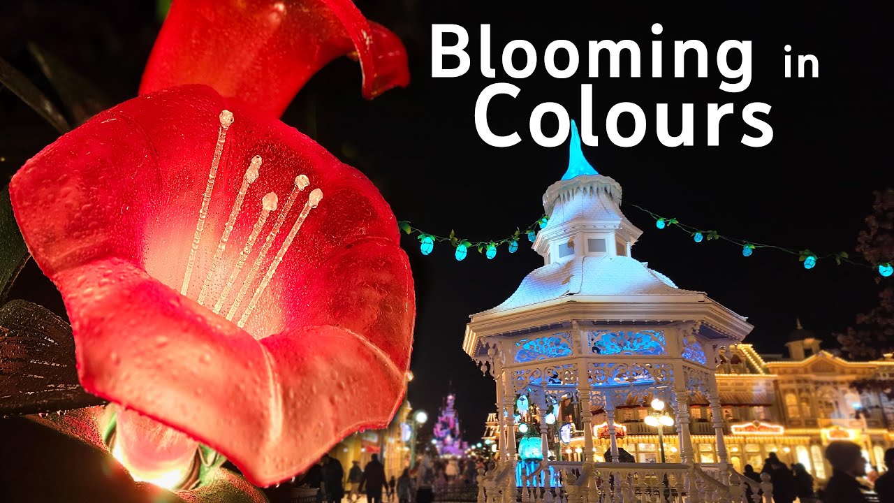 Blooming in Colours - Day & Night - Disneyland Paris