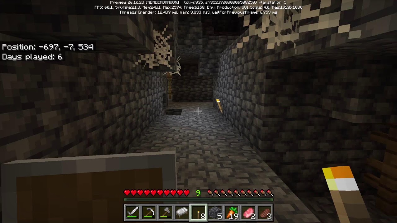 MINECRAFT with friend