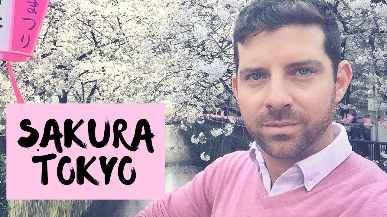 Szuper volt a hanami Tokióban a szakurakor!