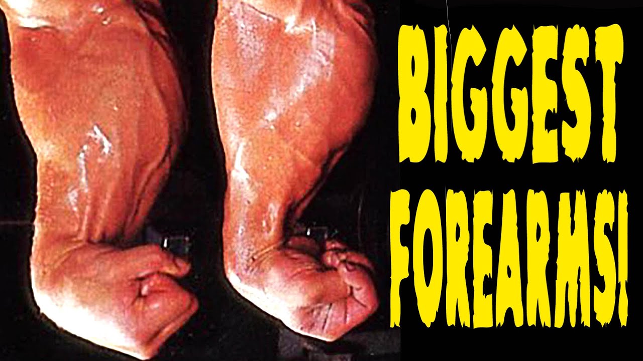 Biggest Forearms: Gunnar Rosbo vs Casey Viator