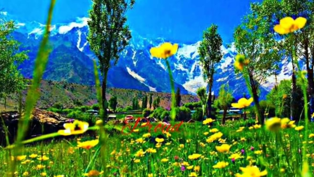 Tarishing the most beautiful village of Gilgit Baltistan