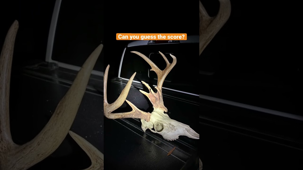 Guess the score of this buck [non-typical] | N1 Outdoors