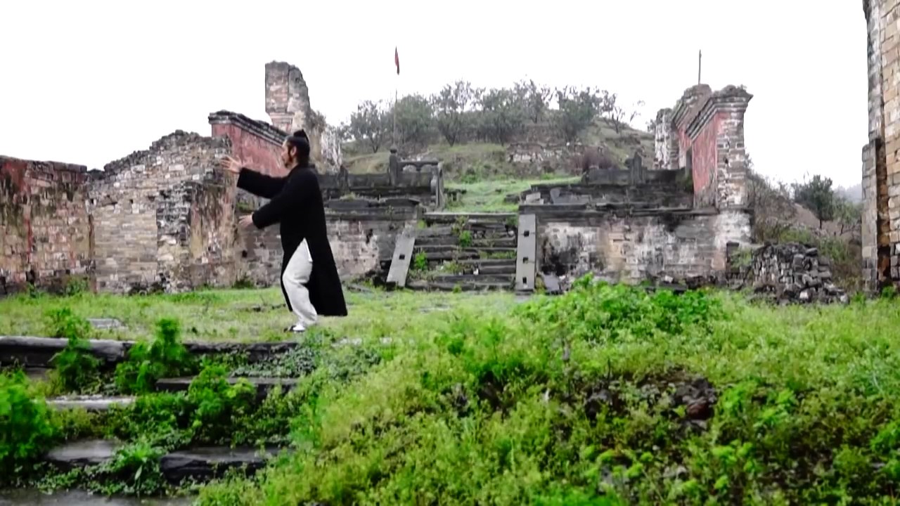 Wudang Tai Chi 28 by Master Chen Shiyu