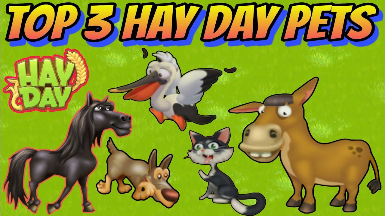Top 3 Hay Day Pets you must have | Hay Day Best Tips