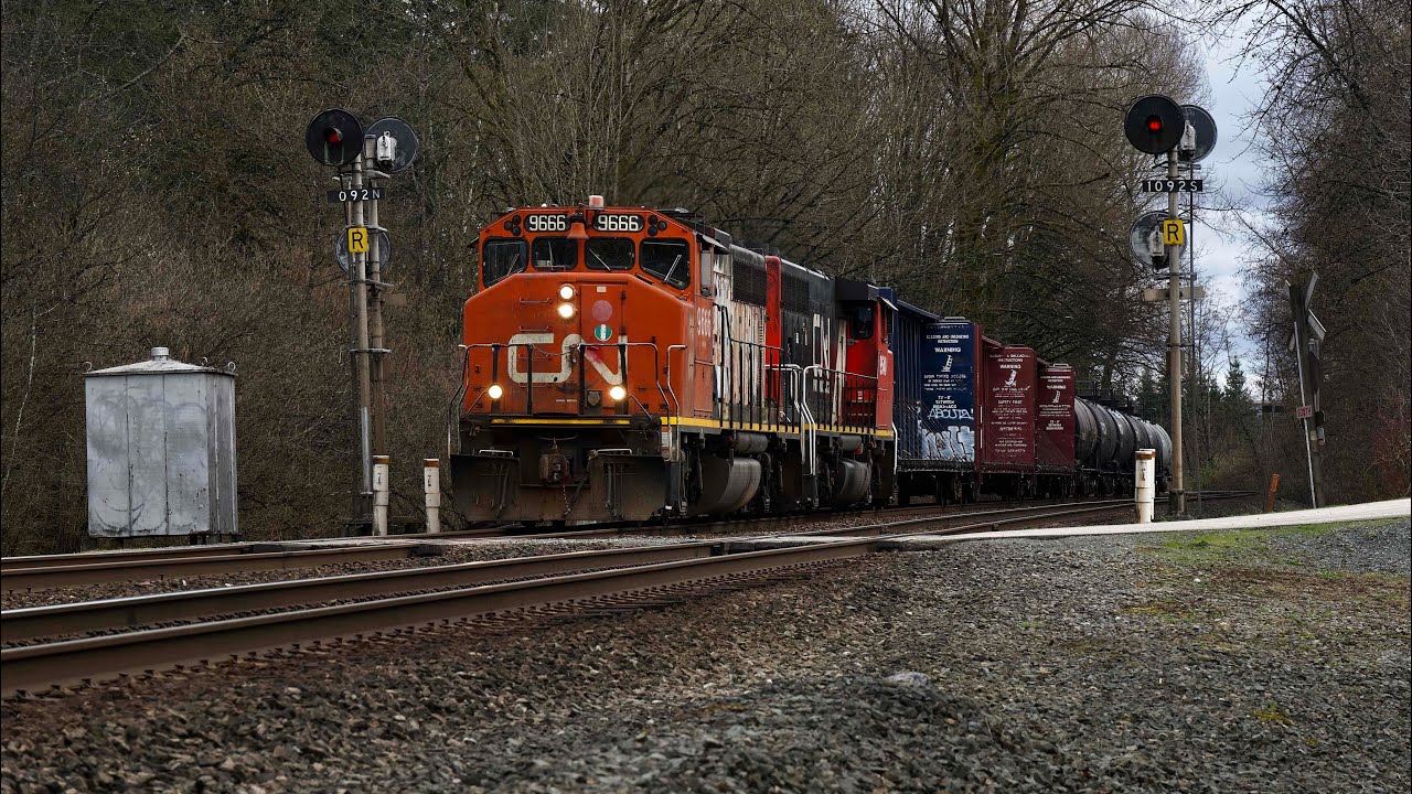 CNR Train Spotting HD: CN 9666 West, Races CP 8752 West At Hampton BC 3/11 2026/3/9