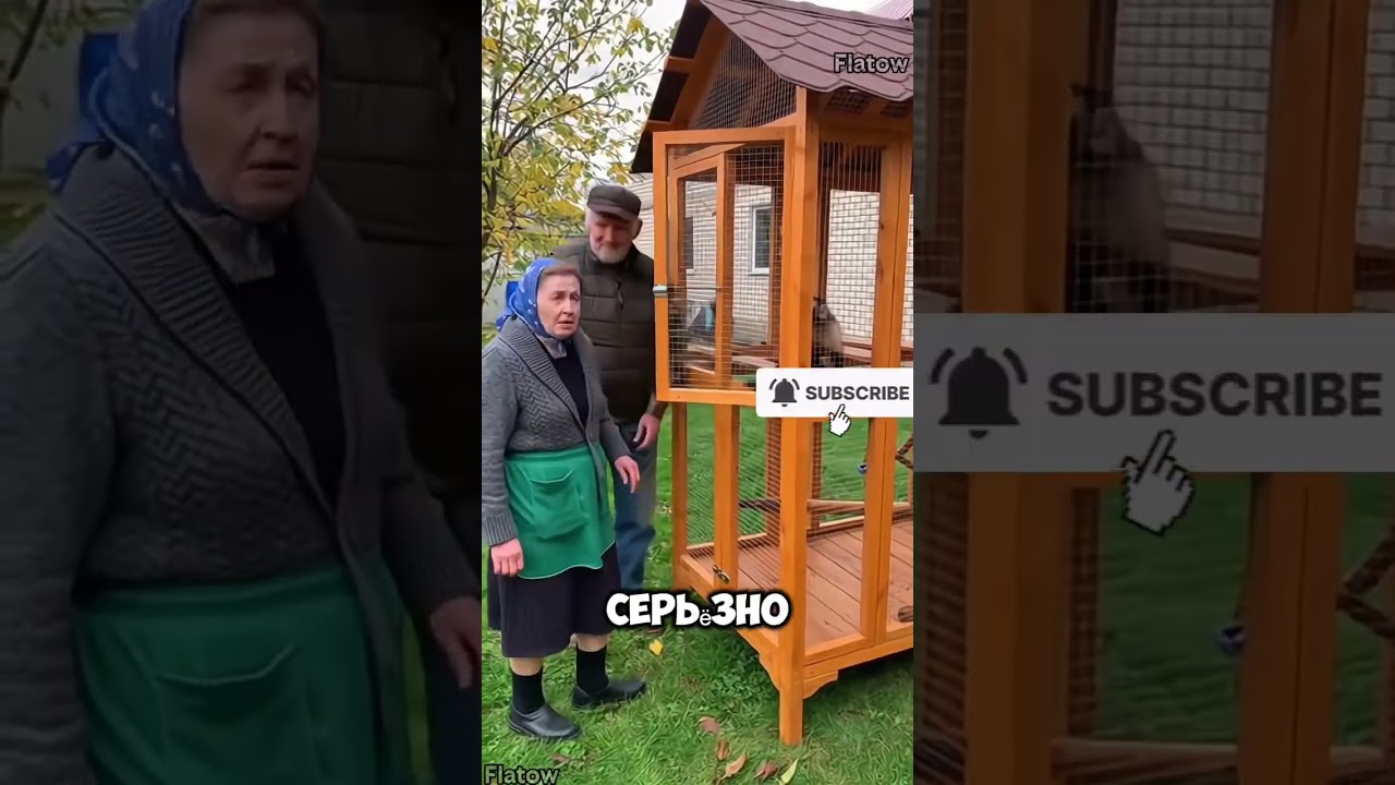 Вот это загон&hellip; или квартира? #shorts #funny #смех #смешныевидео