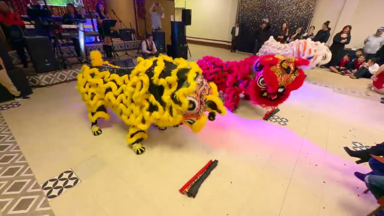 Dragon Dance to Honor Charlie
