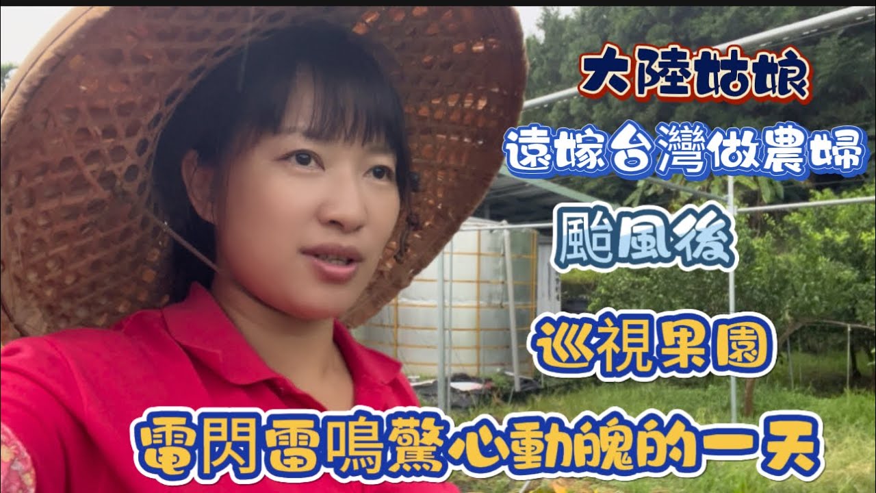 颱風後回田裡巡視果園，我老公摔了一跤，摔到當時說不出話，嚇死我了，雨也好大，電閃雷鳴的，真是驚心動魄的一天 ，大家雨天沒事別往山裡跑