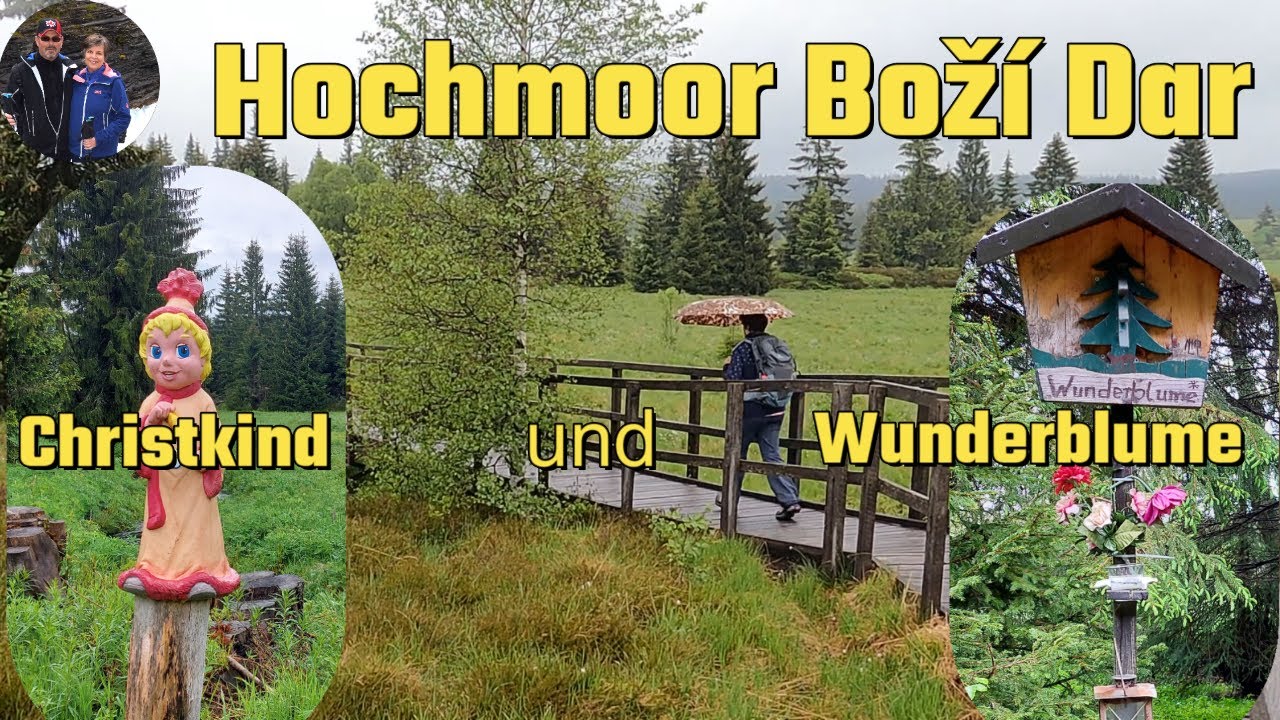 Erzgebirge #5 - Hochmoor Boží Dar und Wunderblume
