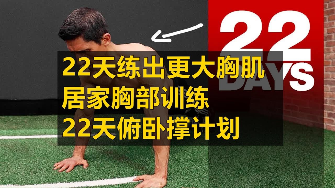 22天俯卧撑计划