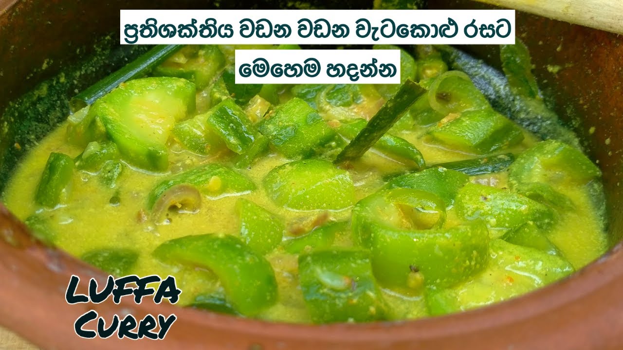 ප්‍රතිශක්තිය වඩන වඩන වැටකොළු රසට මෙහෙම හදන්න | WATAKOLU CURRY | LUFFA CURRY RECIPE
