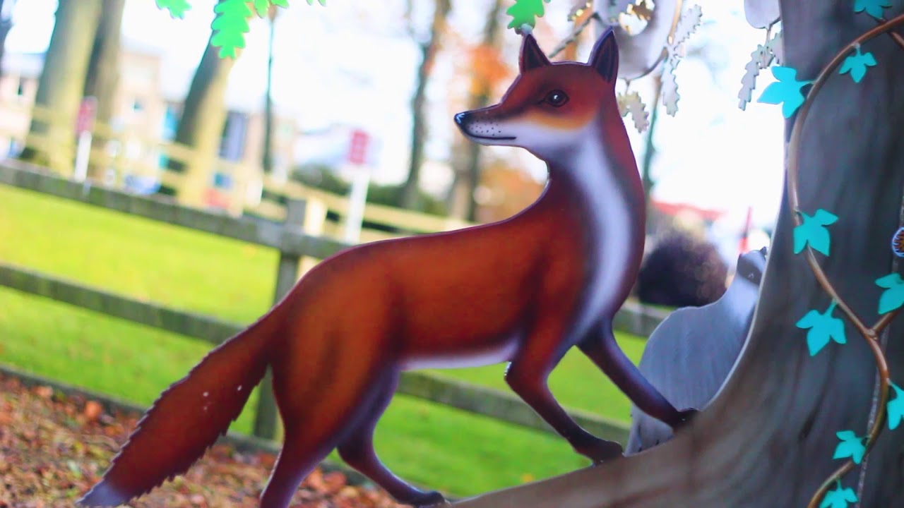 Mid Ulster Promotional Video