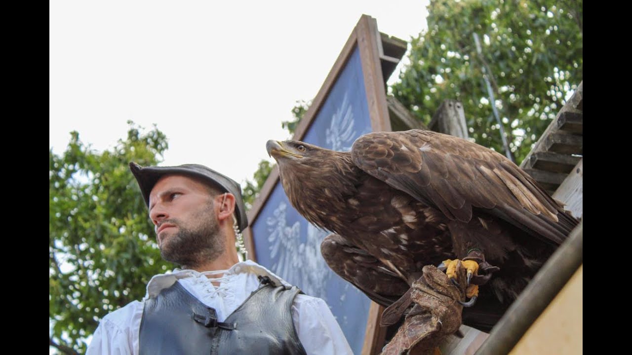 Les différentes voix Connues au Puy Du Fou
