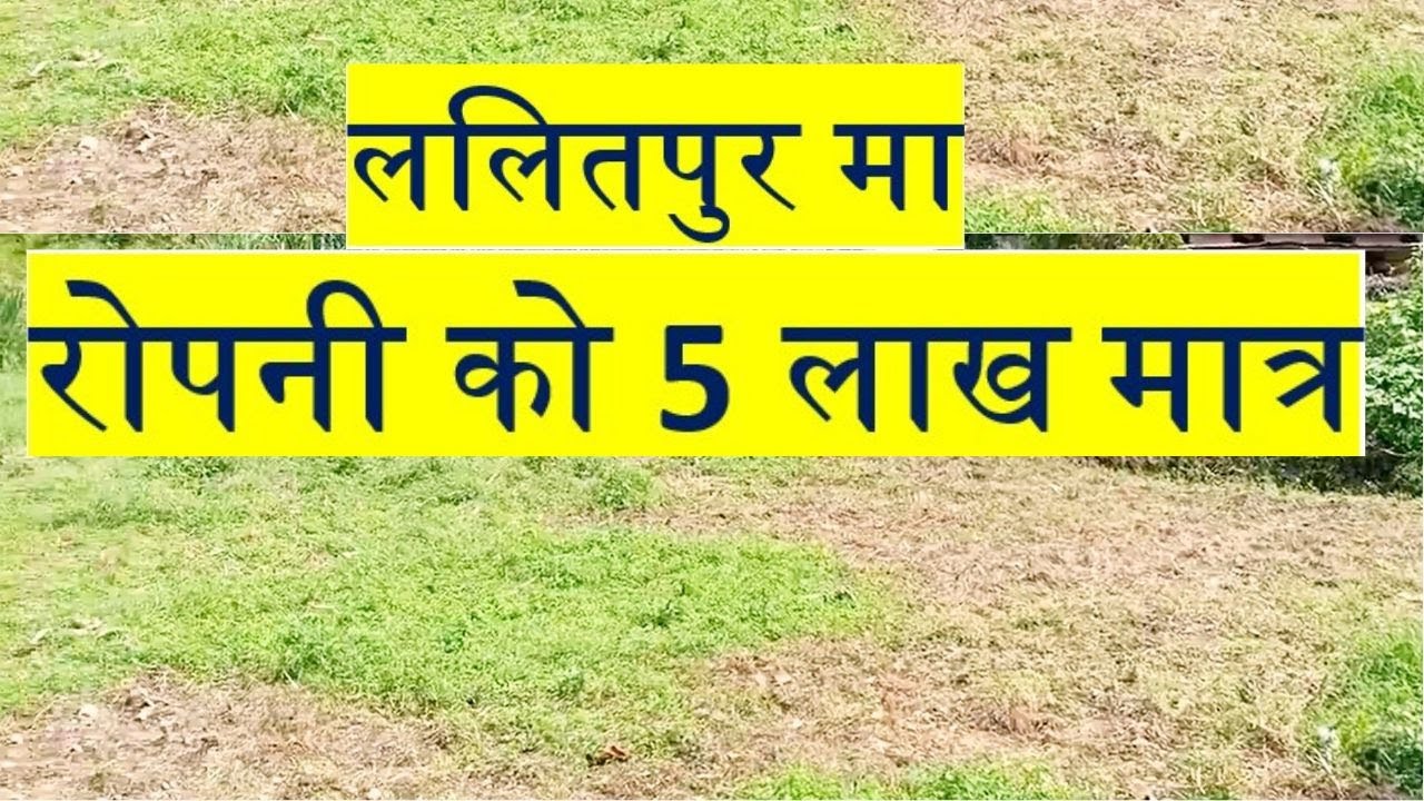 ललितपुर मा रोपनी को मात्र ५ लाख मै टुक्रा जग्गा बिक्रि मा आयो A best land on sale in lalitpur nepal.