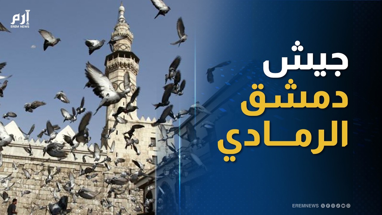 في قلب دمشق.. لغز الحمام الذي يحرس 