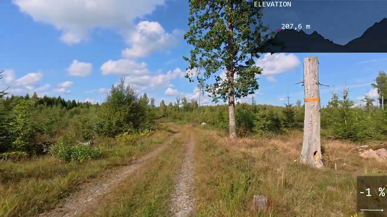 Walk up to Rudes Hill