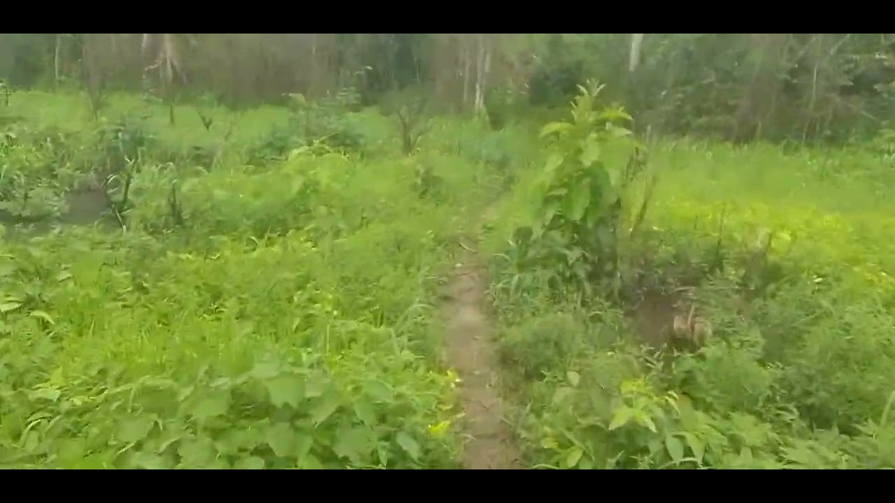 Vamos lá para TOCA DO SAPO🚀