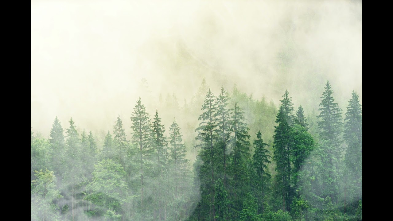 《故乡的原风景》宗次郎经典陶笛乐音，95年古天乐版《神雕侠侣》背景音乐，充满儿时回忆的经典音乐