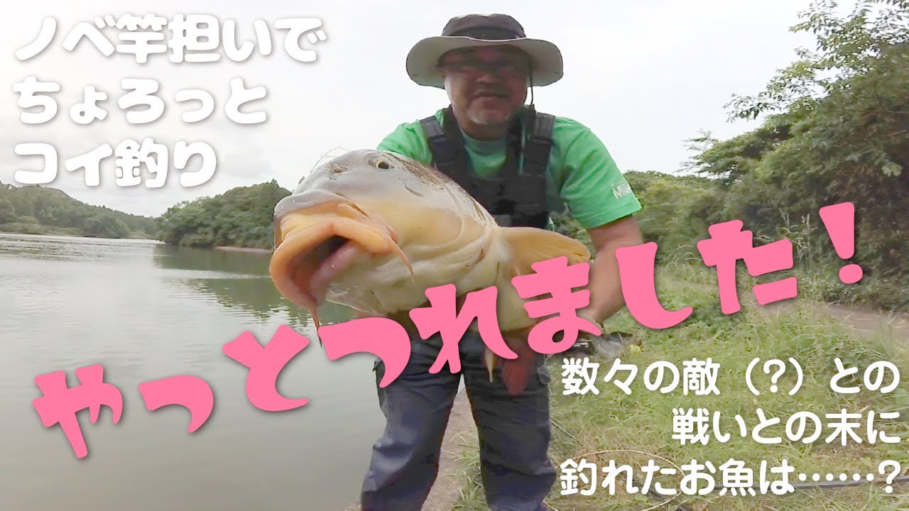 【のべ竿担いで】ちょろっとコイ釣り【雄蛇ヶ池でやっと一匹】
