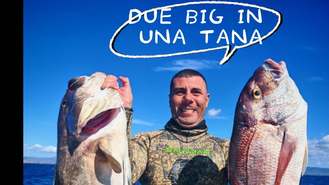 Pescasub: Due big in una tana.