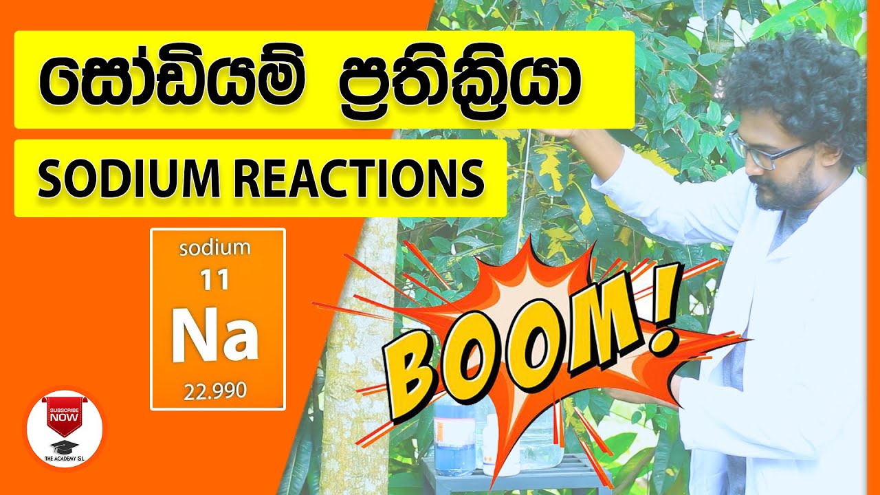 Sodium Chemistry grade 10/11 science | o/level sinhala and english medium science practicals