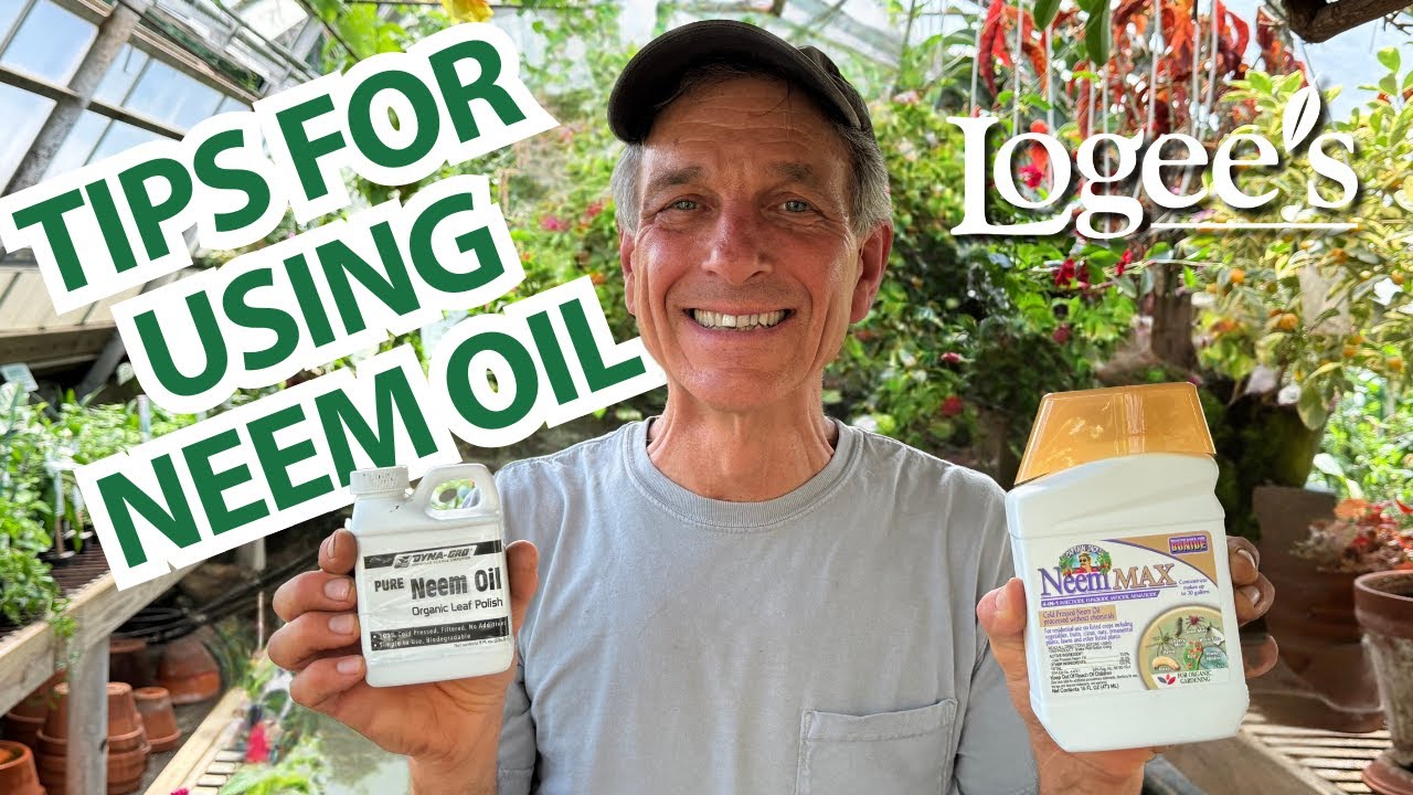 How to Use Neem Oil on Houseplants