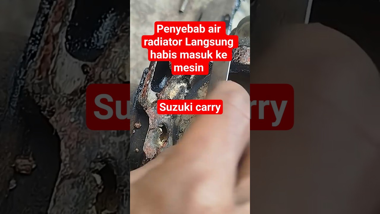 penyebab air radiator campur oli #shorts