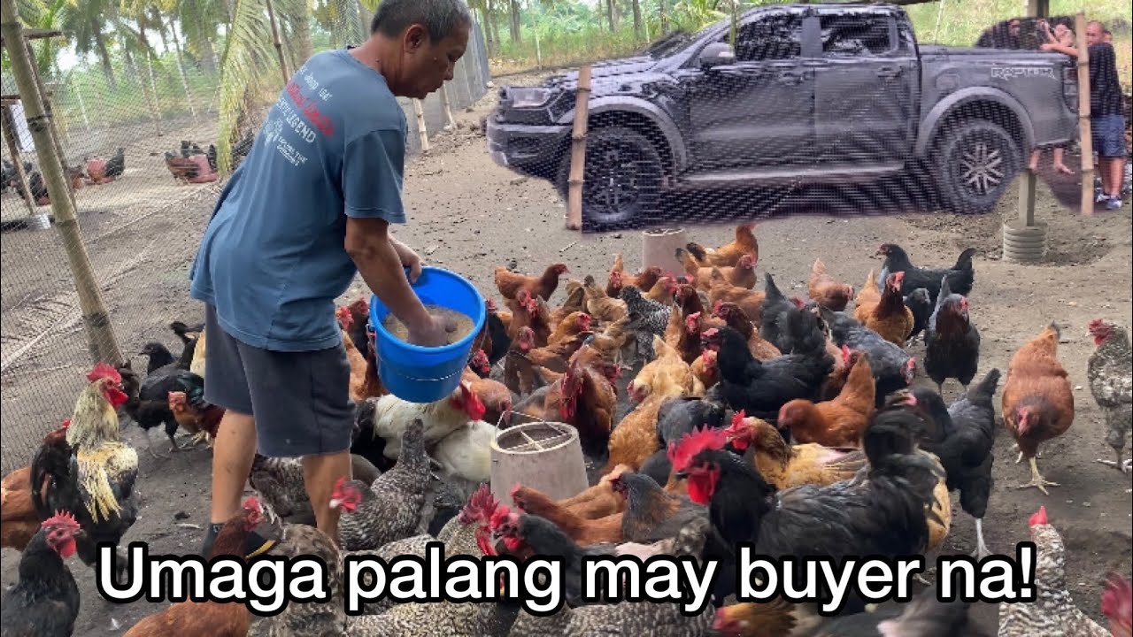 MAAGA PALANG MAY BUYER NA, PLANO SA MANUKAN!
