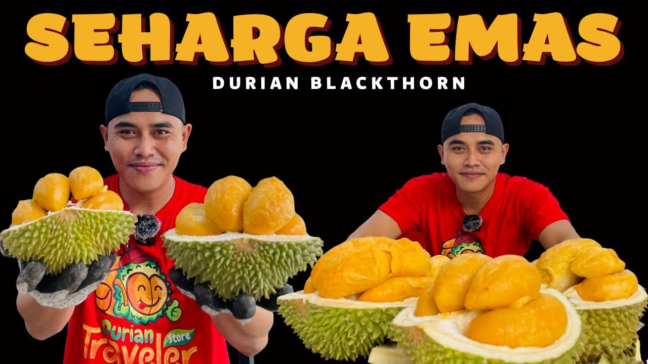 MAHAL BANGET ⁉️ DURIAN BLACK THORN [ DURIAN DURI HITAM ] #durian #duriandurihitam #masduren
