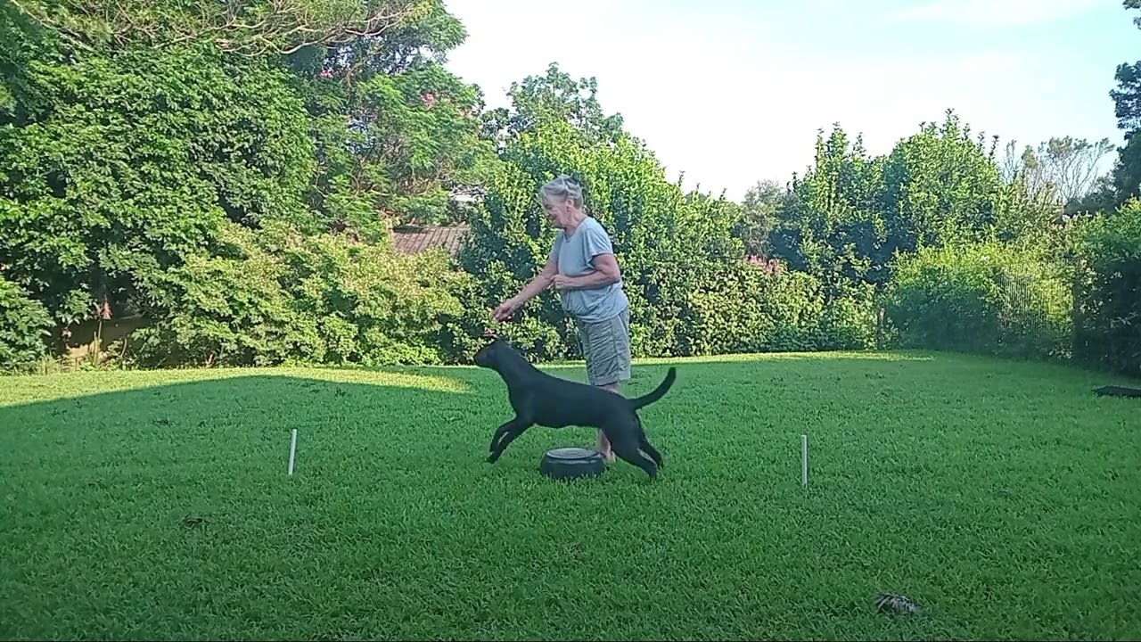 ORIENTATION TO HEEL POSITION